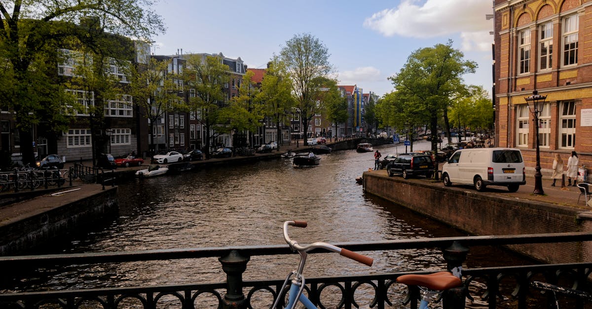 An Introduction to Dutch Negation Rules