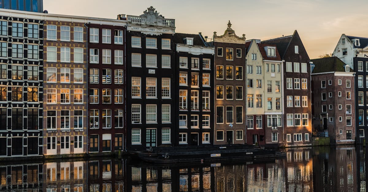 Best Platforms to Connect with Dutch Language Conversation Partners