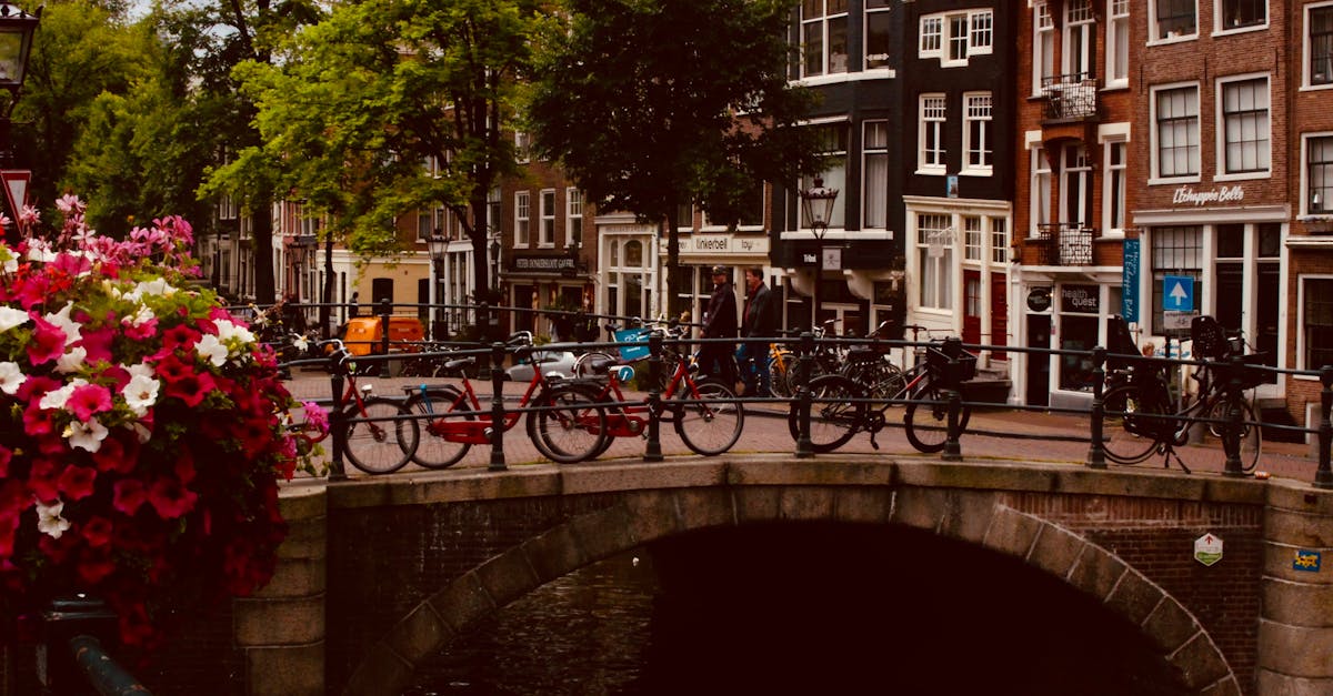 Discovering Dutch Synonyms and Antonyms: A Practical Guide