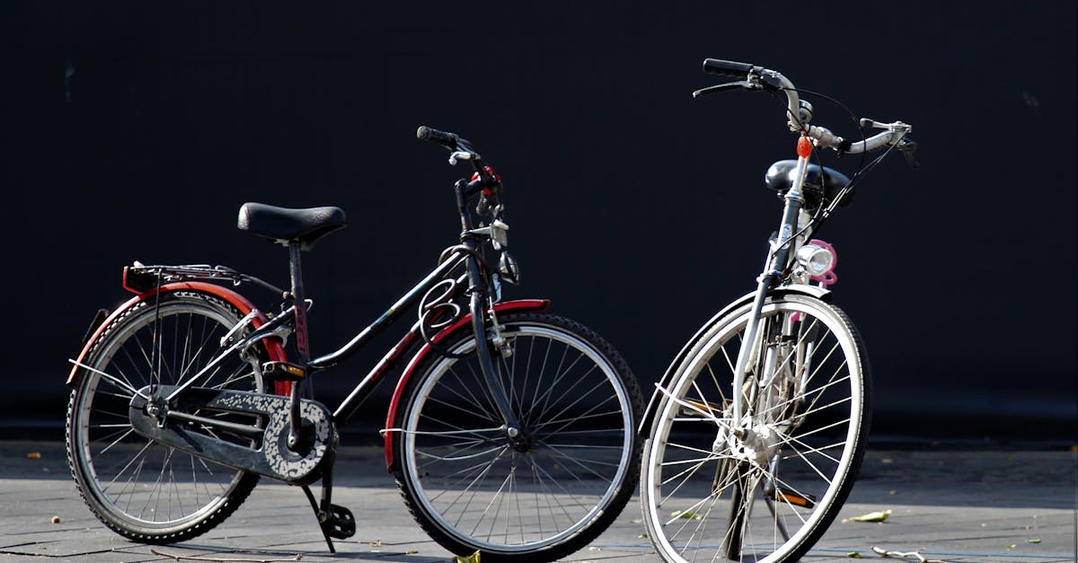 Essential Dutch Phrasebooks for Beginners in Haarlem