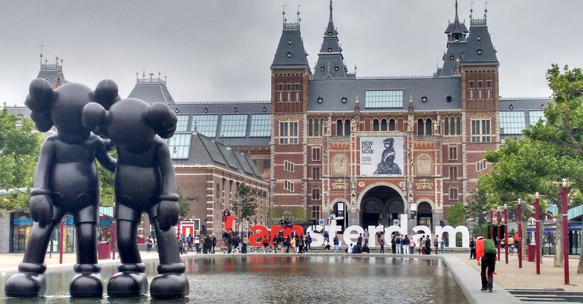 Integrating Cultural Insights Through Dutch Language Apps