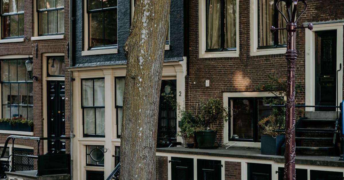 Navigating the Nuances of Table Manners in Haarlem