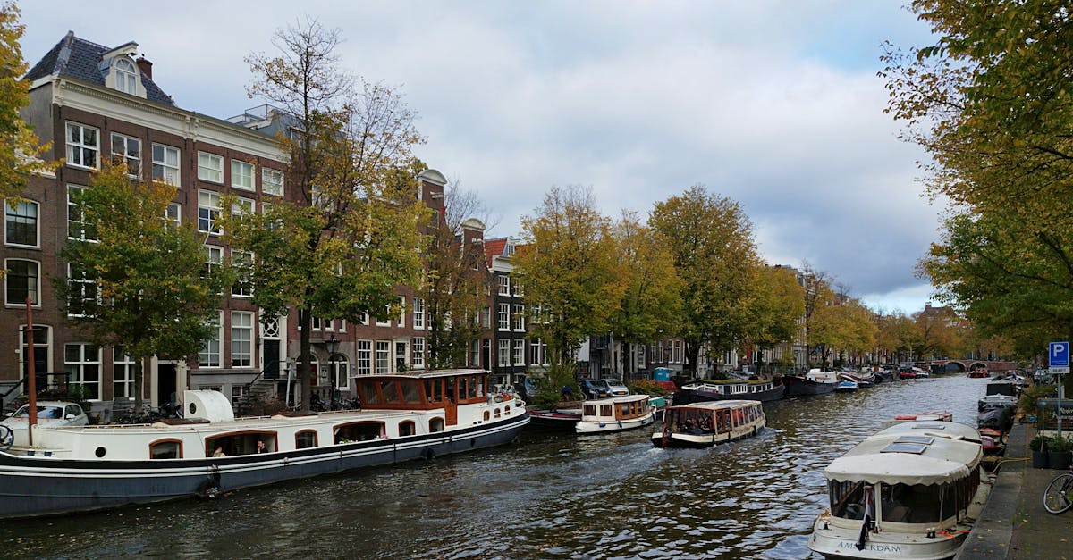 Role-Playing Techniques to Enhance Dutch Conversational Skills