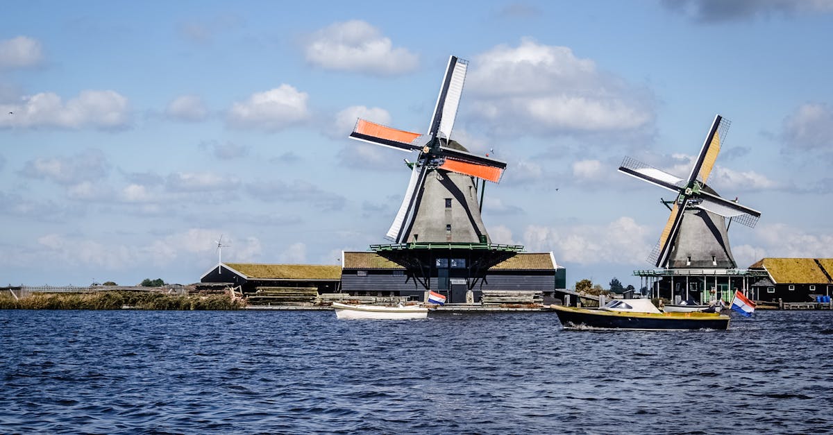 Seasonal Ingredients and Their Impact on Haarlem’s Menus