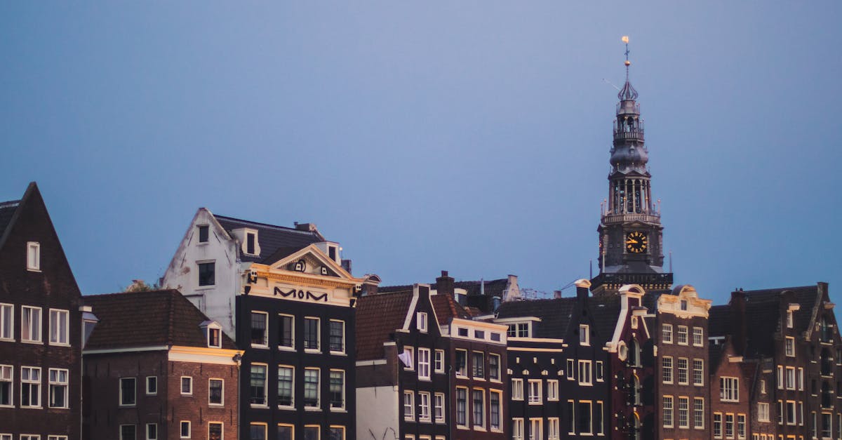 The Art of Dutch Decorating: Traditional Styles and Their Meanings
