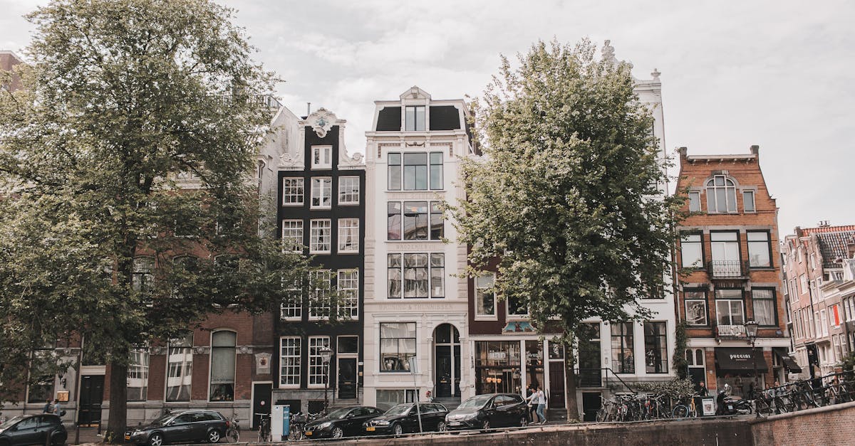 The Importance of Accentuation in Dutch Speech