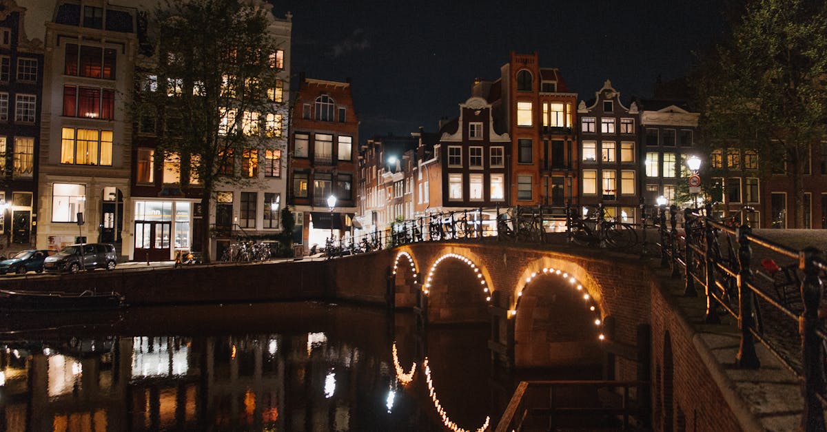 The Importance of Gender in Dutch Grammar