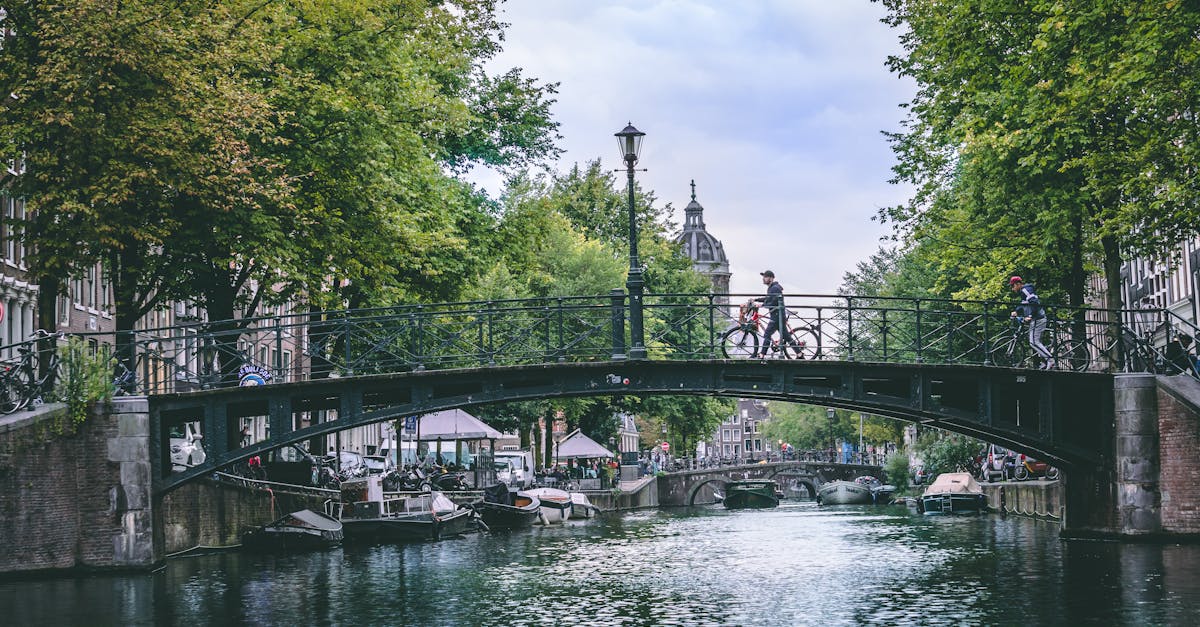 The Role of Root Words in Building Dutch Language Skills