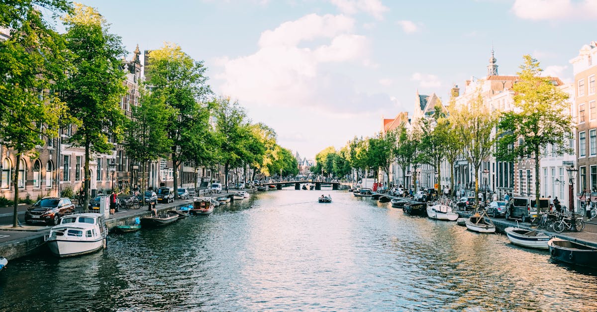 Tips for Comprehending Dutch Accents and Dialects