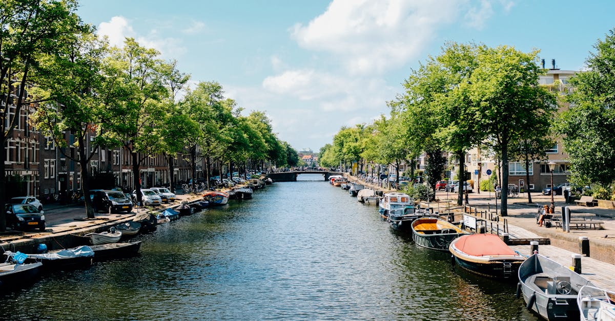 Using Flashcards Effectively for Learning Dutch Words